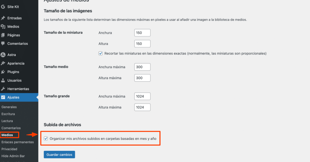 Organizar archivos de WordPress-3