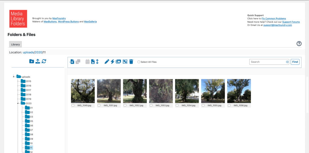Organizar archivos de WordPress-6
