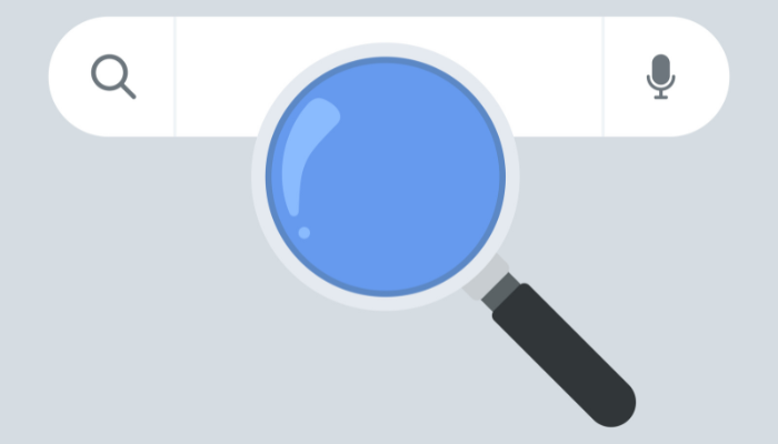 Plugin buscador en WordPress