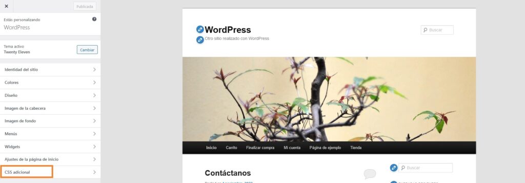 Agregar código personalizado a WordPress - 8