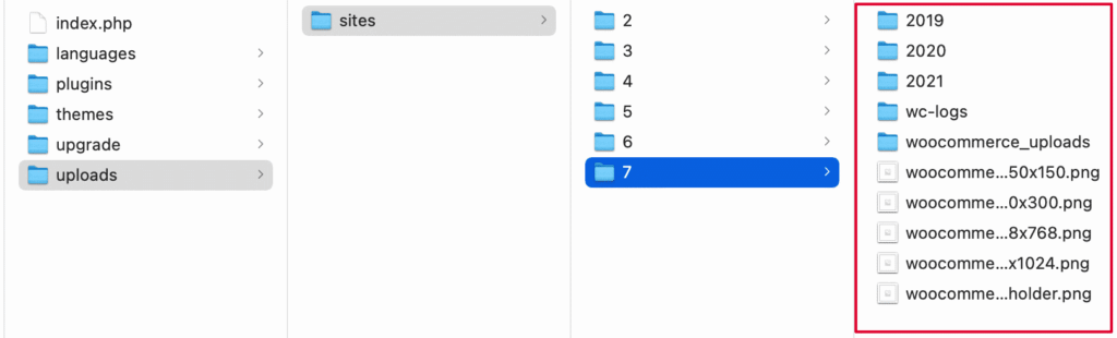 extraer un sitio desde un multisite-9