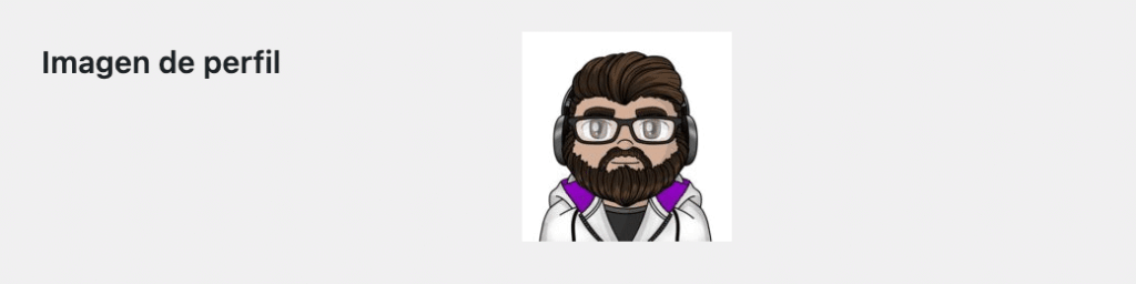 foto de perfil en WordPress-5