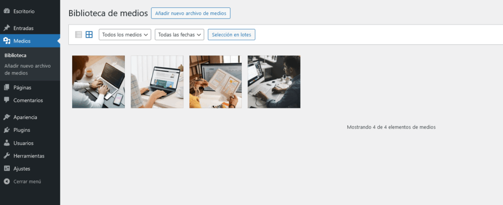 ¿Cómo regenerar las miniaturas en WordPress? 3 ¿Cómo regenerar las miniaturas en WordPress? - 2