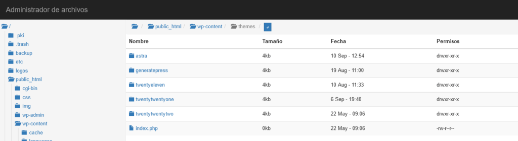 Crear y personalizar un tema hijo en WordPress