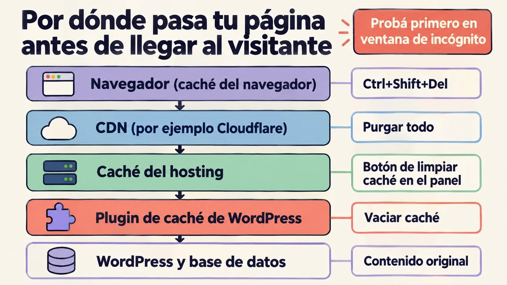 Borrar caché WordPress: por qué no ves tus cambios 1 borrar caché wordpress diagrama explicativo